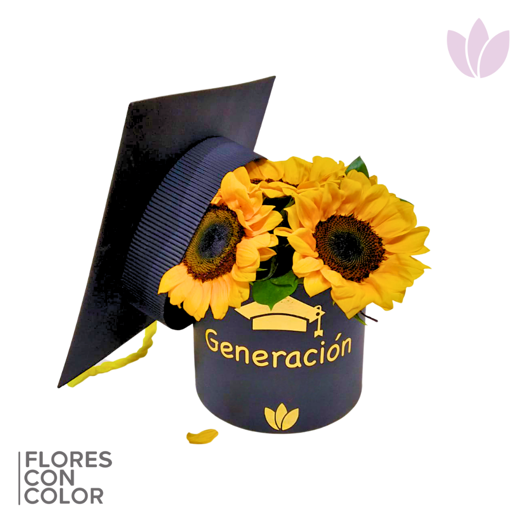 BIRRETE GIRASOLES