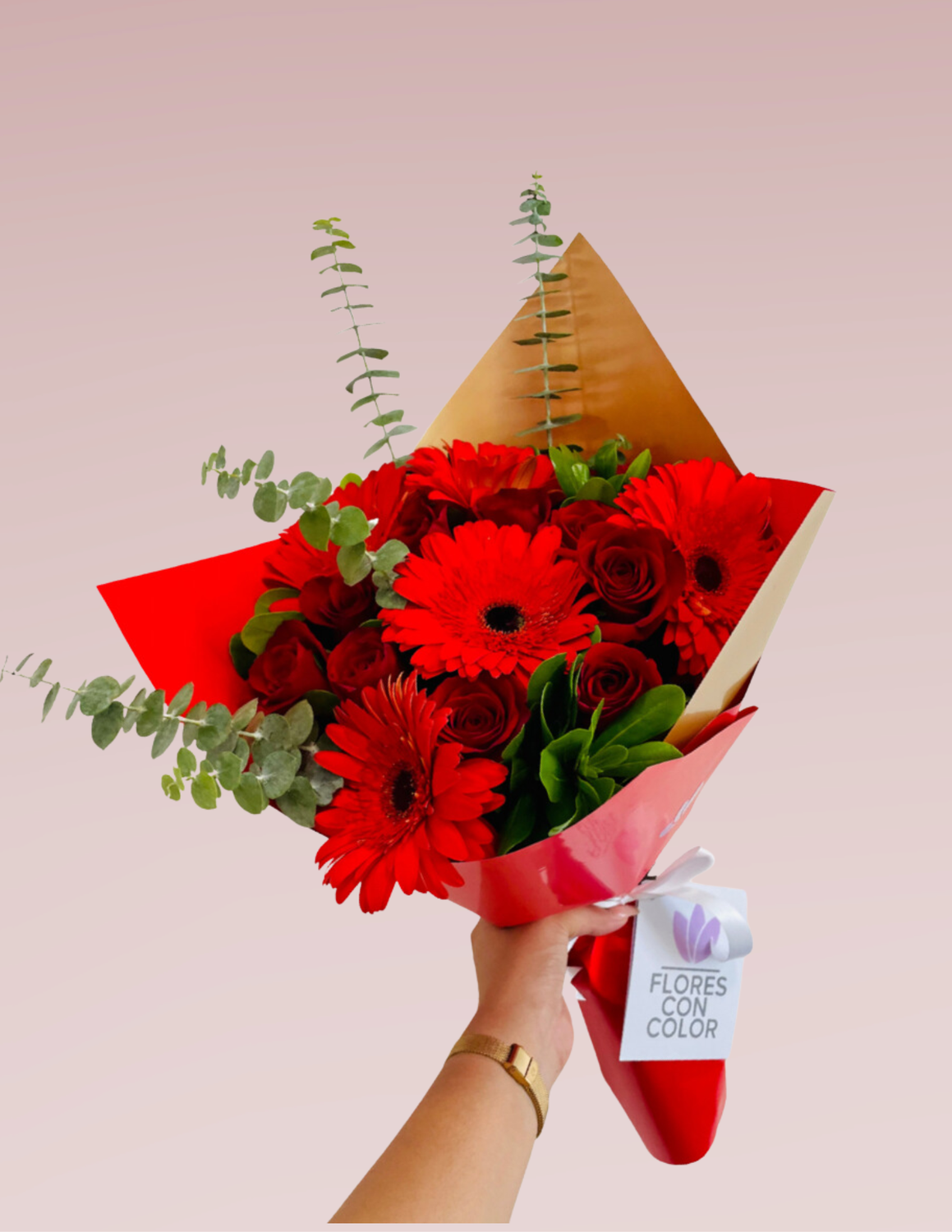 RAMO RED