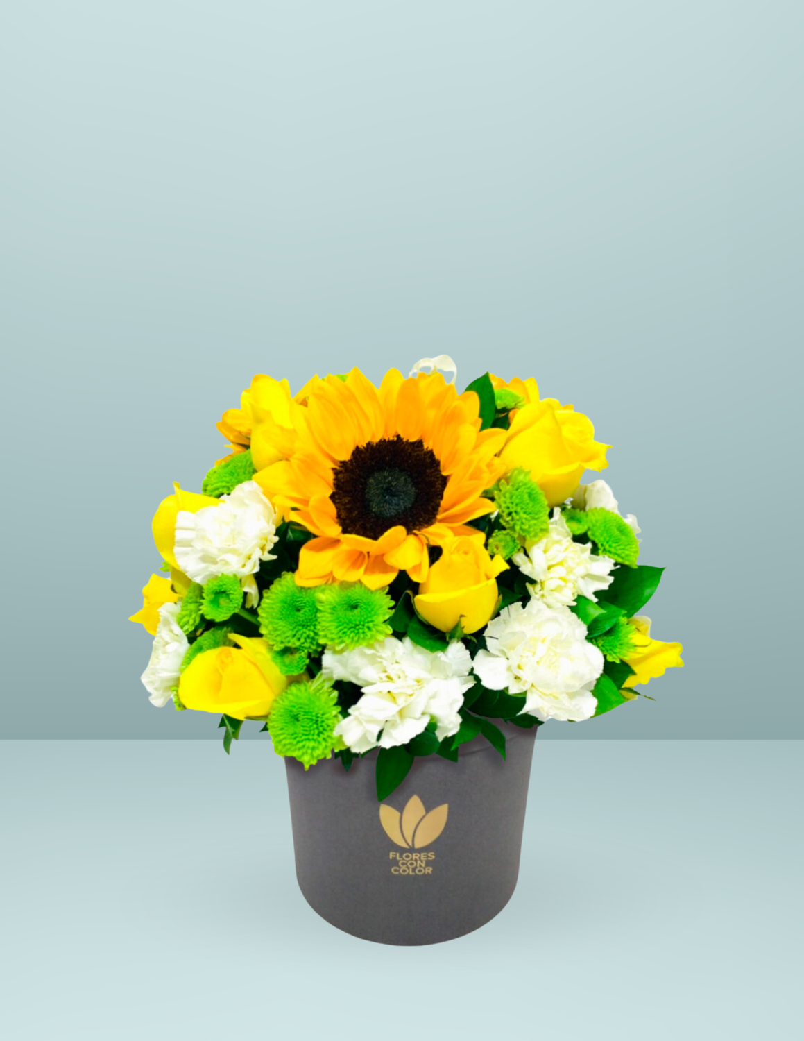 SOL DE PRIMAVERA