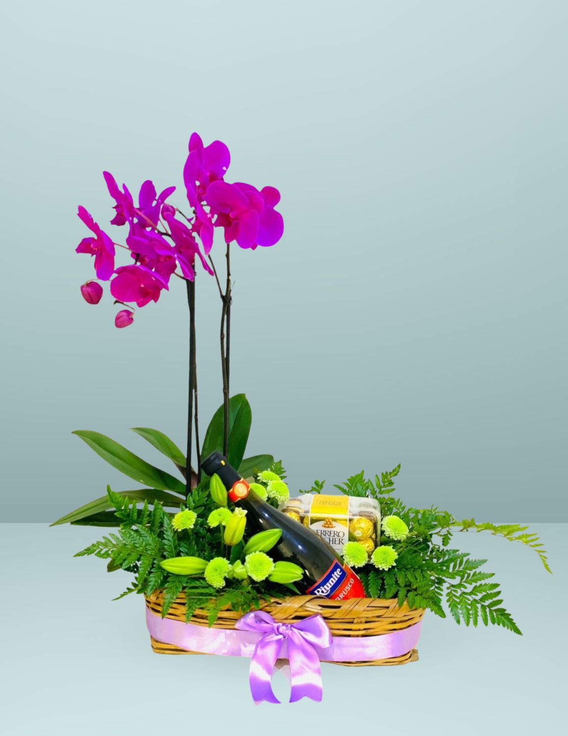 ORQUIDEA CHIC