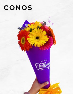 CONOS CON FLORES