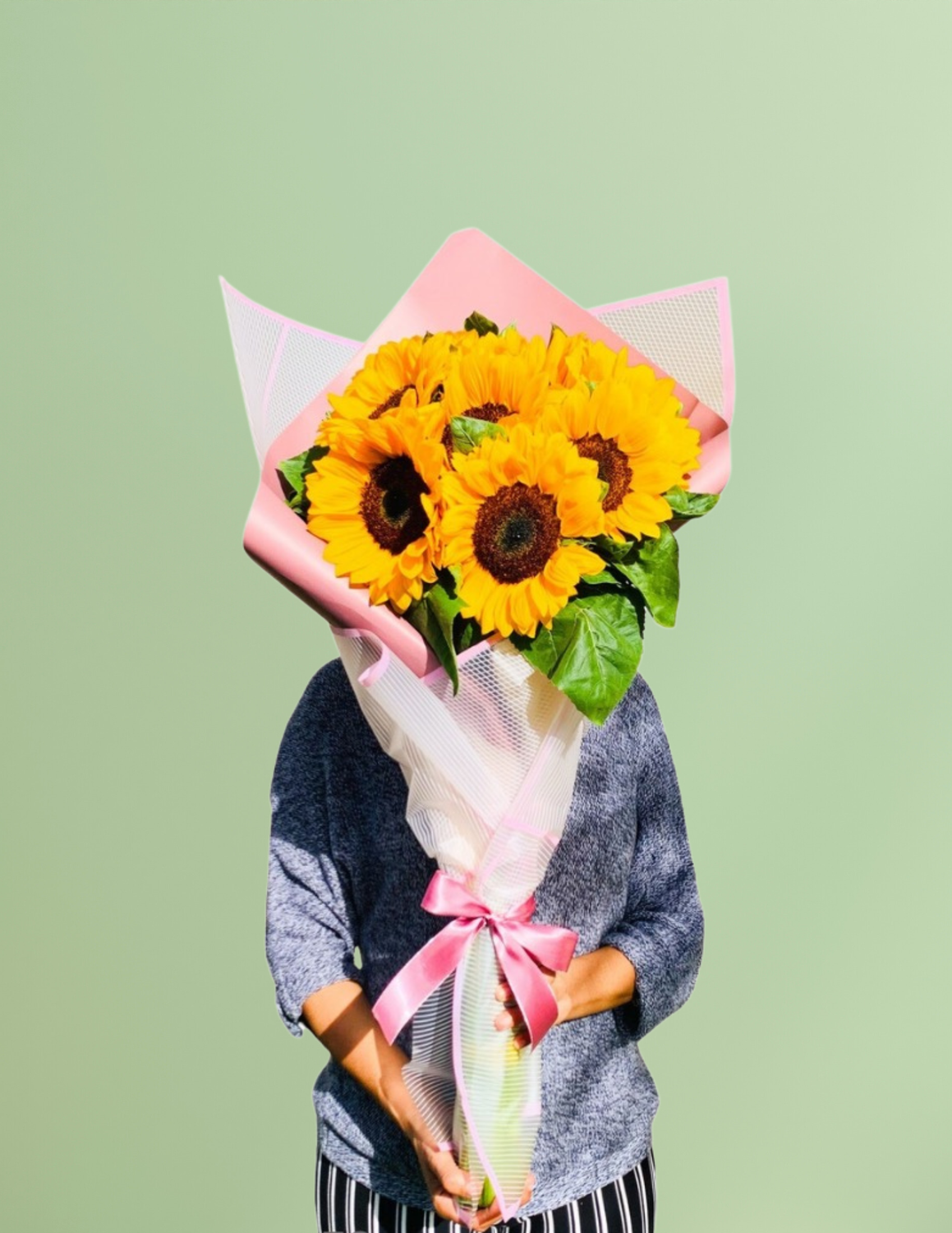 RAMO SUNFLOWER