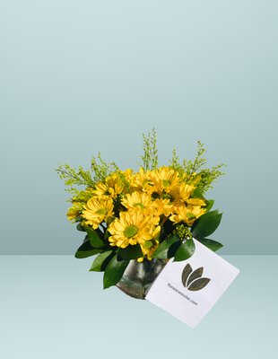 🌼PECERA DE MARGARITAS