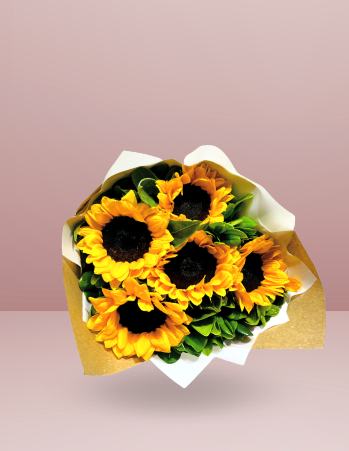 🌼 RAMO 5 SUSPIROS