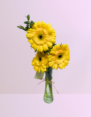 🌼MINI JARRÓN DE GERBERAS