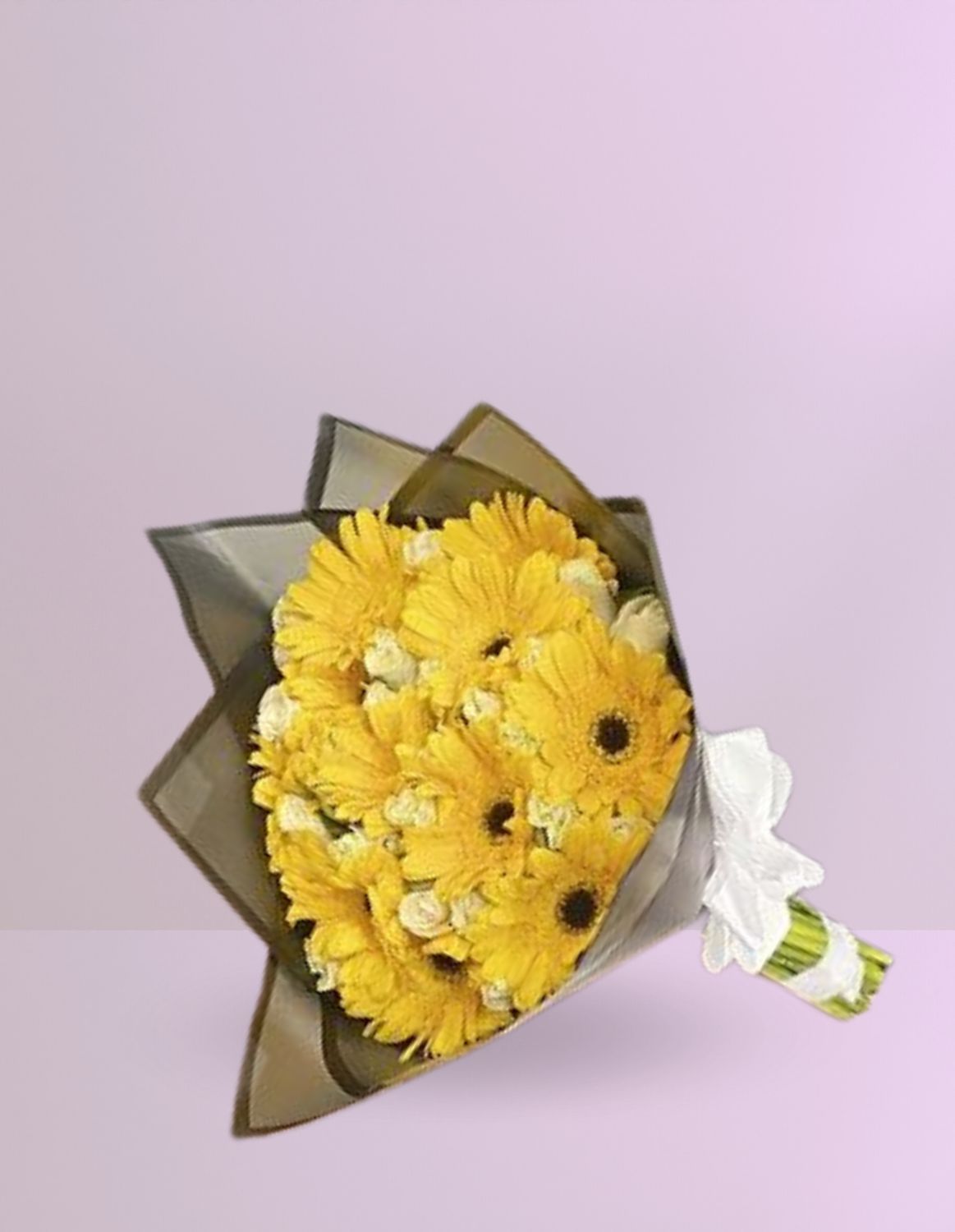🌼 RAMO PREMIUM