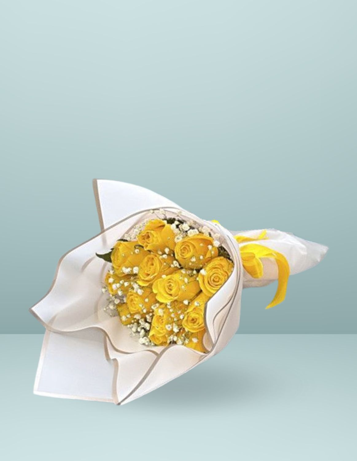 🌼 RAMO RESPLANDOR