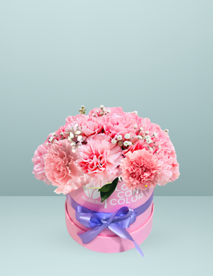 CAJA NUBE ROSA