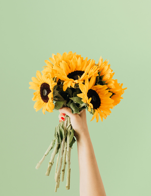 AGREGA GIRASOLES
