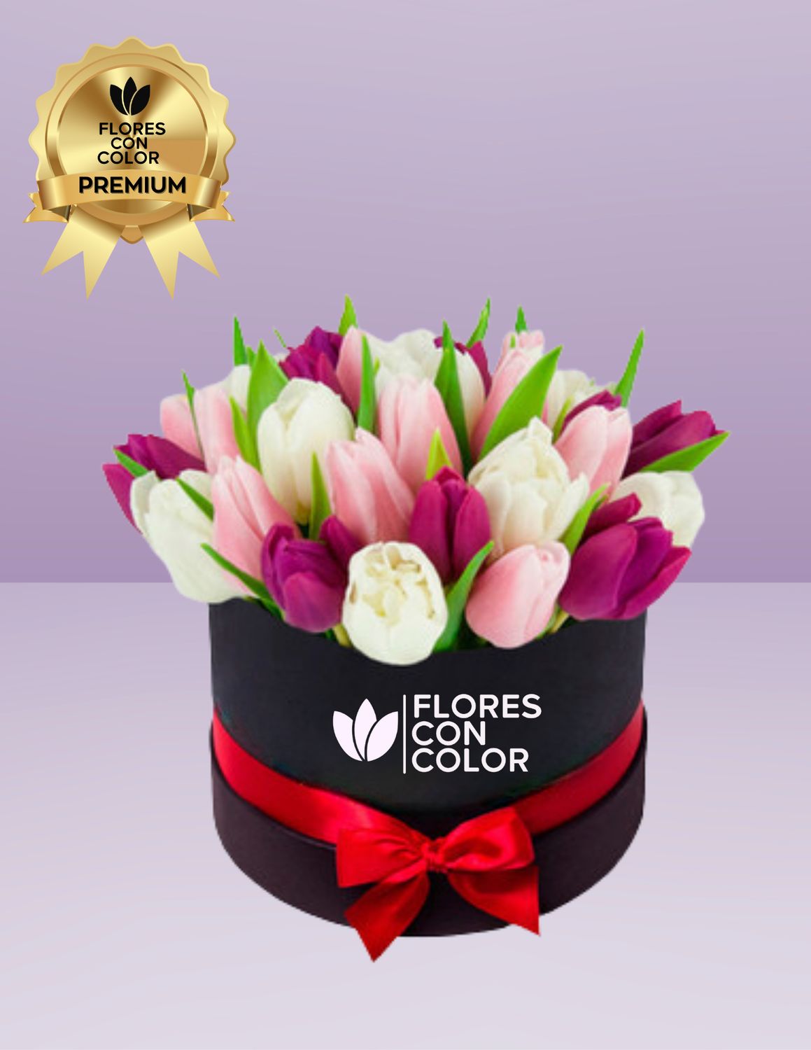 ⚜️CAJA CON 20 TULIPANES