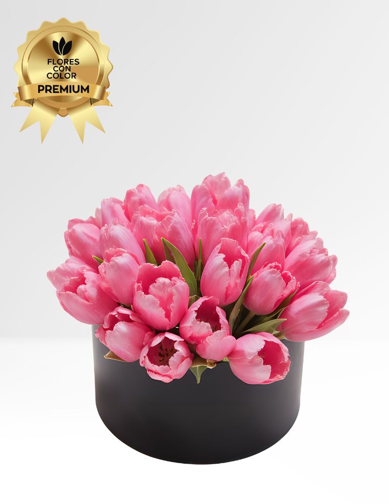 ⚜️CAJA CON 20 TULIPANES