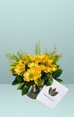 🌼PECERA DE MARGARITAS