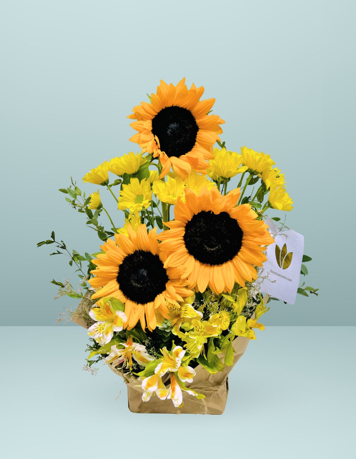 🌼BASE DE GIRASOLES