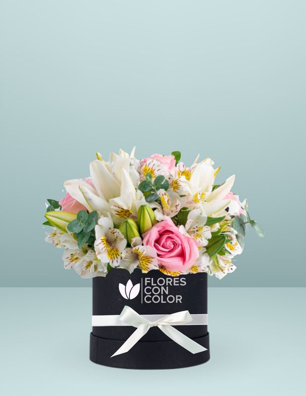 CAJA AMOR TIERNO