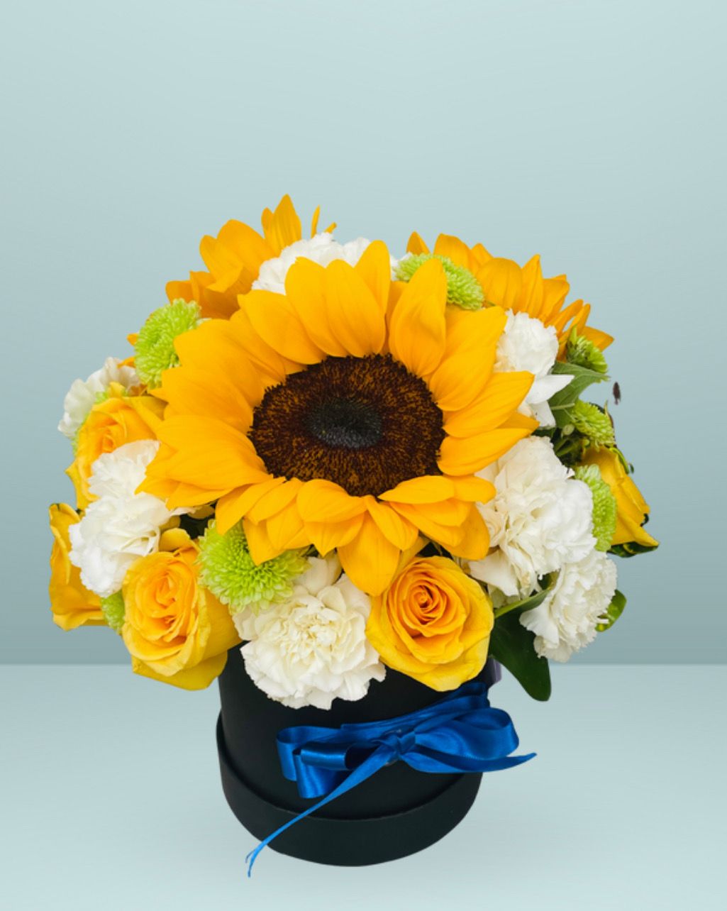 SOL DE PRIMAVERA