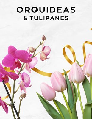 ORQUÍDEAS &amp; TULIPANES