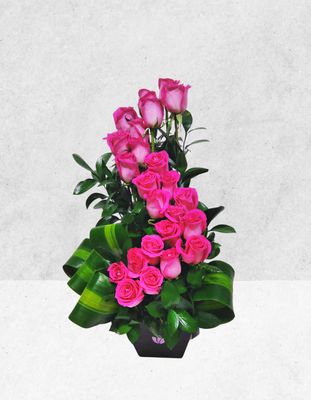 ESPIRAL DOBLE DE ROSAS FIUSHA