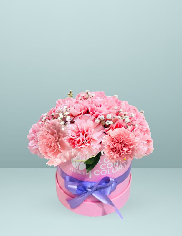 CAJA NUBE ROSA