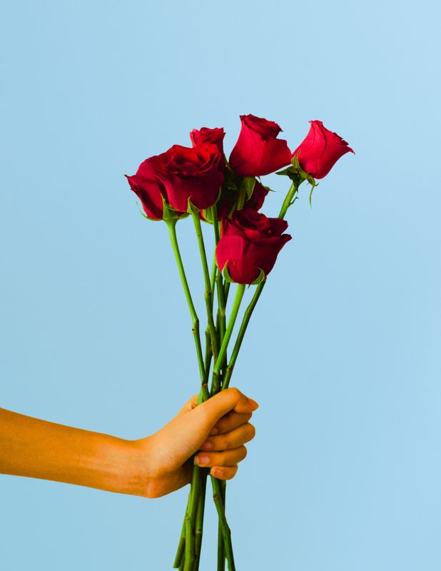 AGREGA ROSAS