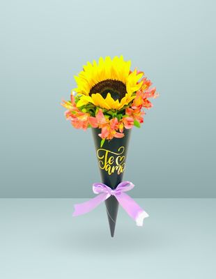 MINI CONO GIRASOL