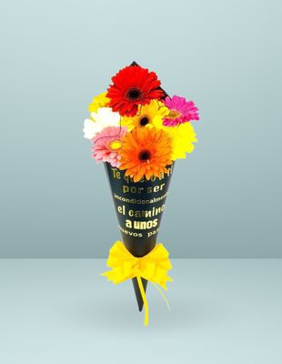 CONO DE 10 GERBERAS
