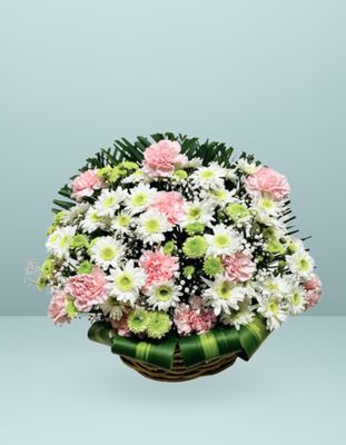 CANASTA HERMOSO CARIÑO