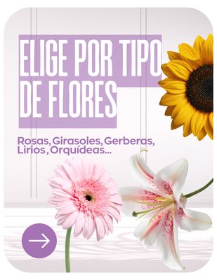 ELIGE POR TIPO DE FLORES