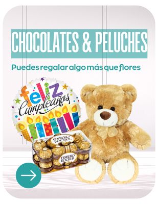 CHOCOLATES  &amp; PELUCHES