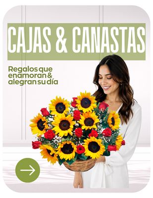 CAJAS &amp; CANASTAS