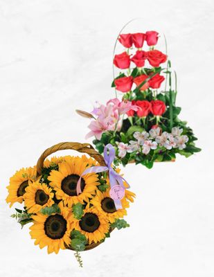 ARREGLOS &amp; CANASTAS