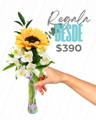 Desde $390