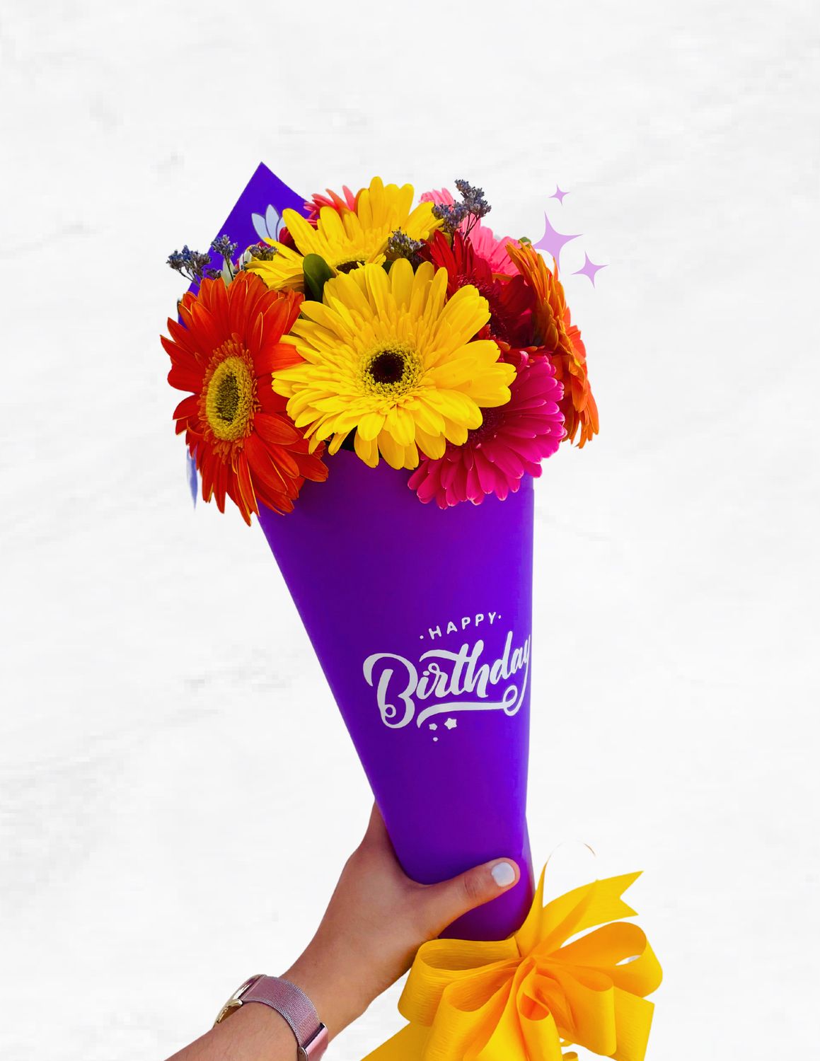 CONO DE 10 GERBERAS