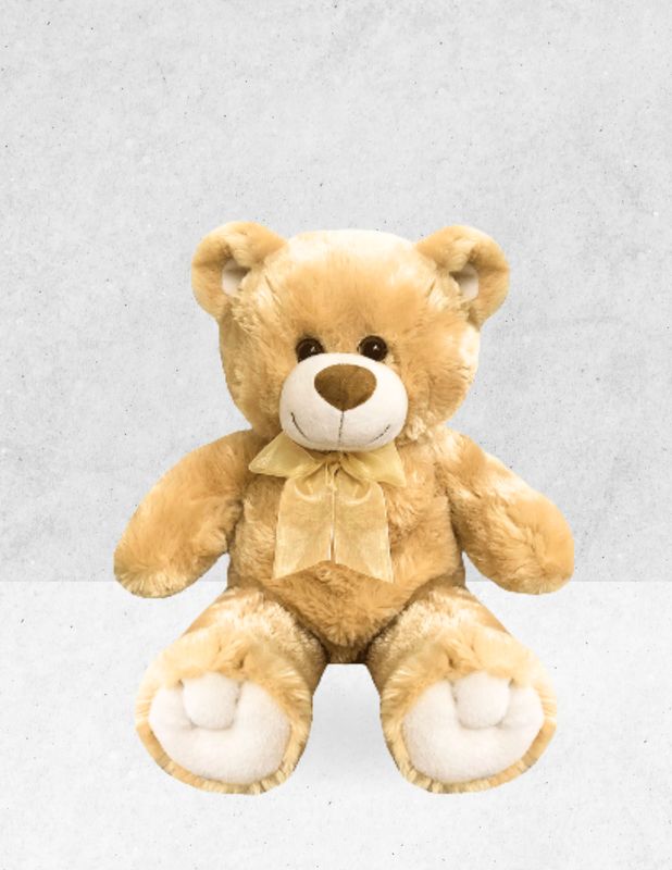 OSO PELUCHE 50 cm