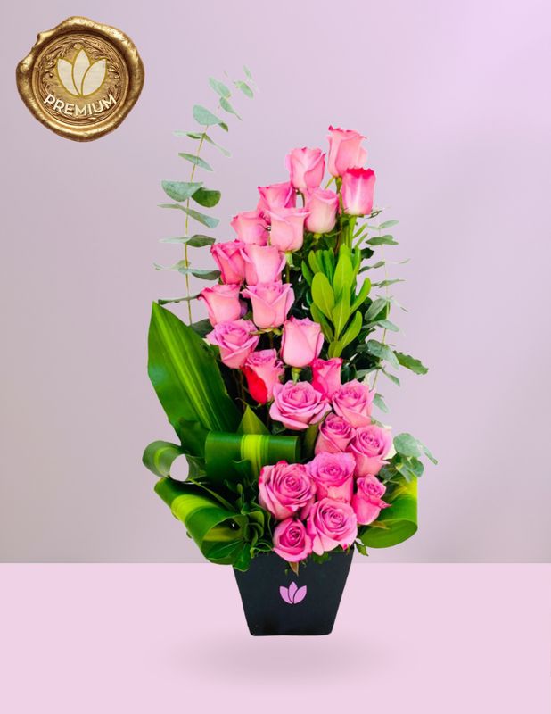 ⚜️ESPIRAL DOBLE DE ROSAS LILA-MORADA