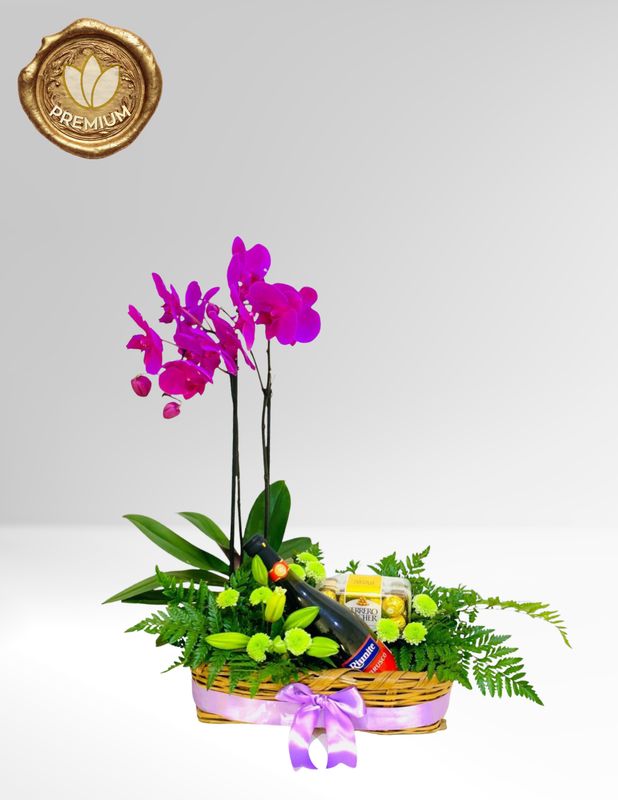 ⚜️ORQUIDEA CHIC