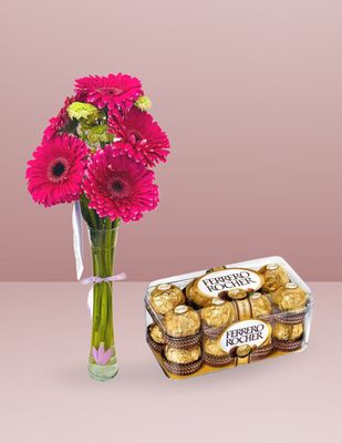 PAQUETE VIOLETERO 5 GERBERAS