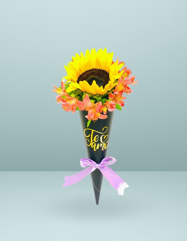 🌼MINI CONO GIRASOL