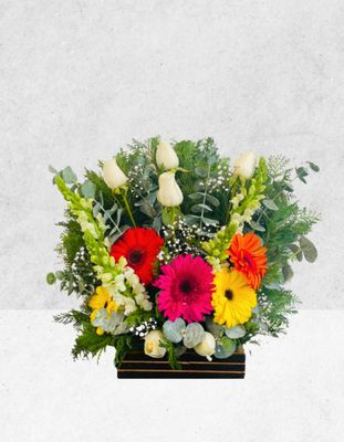ARREGLO DE GERBERAS MULTICOLOR