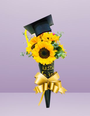 CONO ALEGRE GRADUACIÓN