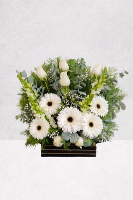 ARREGLO DE GERBERAS BLANCAS
