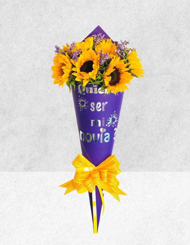 CONO DE 10 GIRASOL