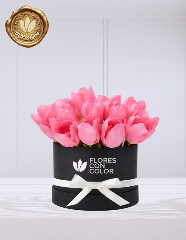 ⚜️CAJA CON 20 TULIPANES