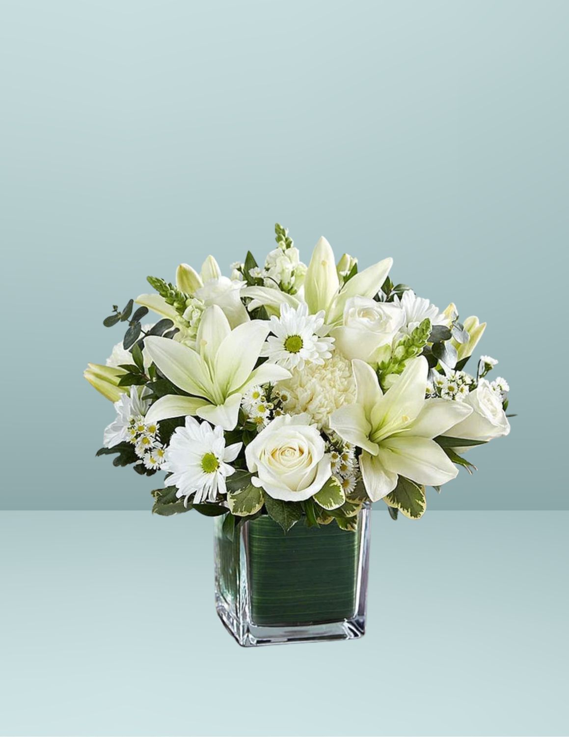 PECERA DELICATE PLUS