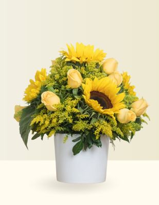 ✨BASE GIRASOLES Y ROSAS