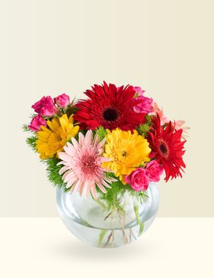 ✨PECERA FULL COLOR