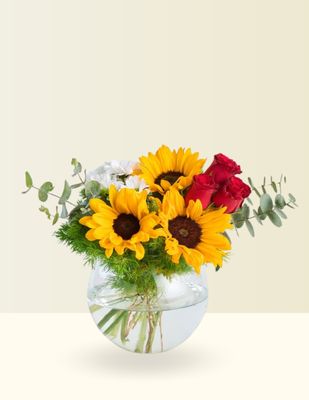 PECERA ROSAS &amp; GIRASOLES