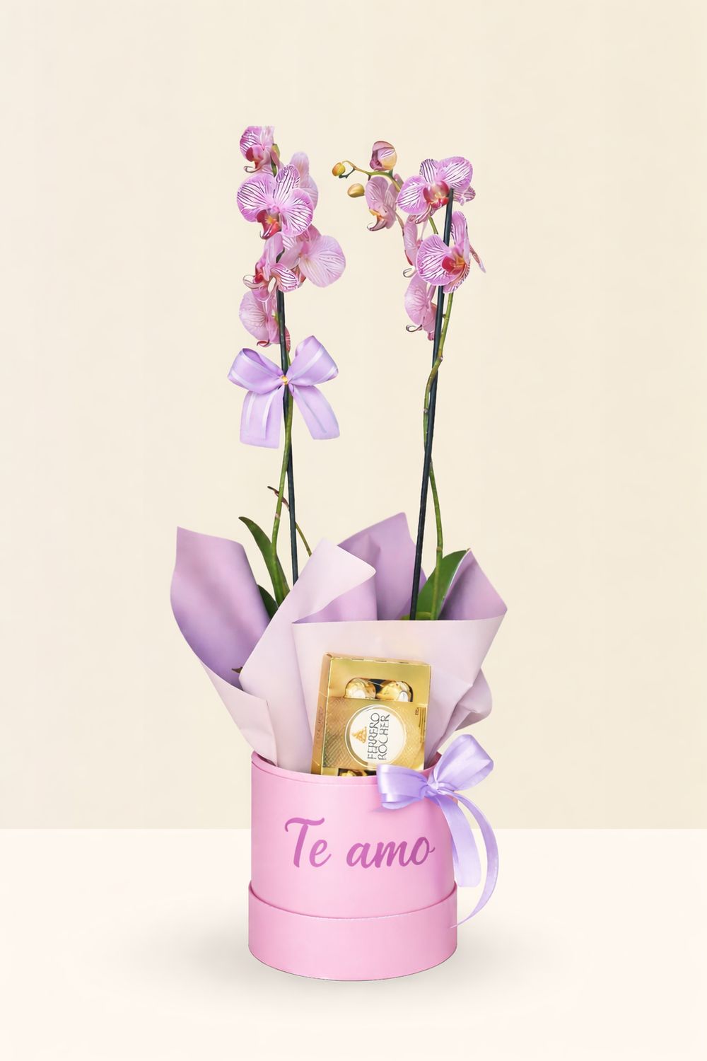 ORQUÍDEA DOBLE PHALAENOPSIS + FERREROS