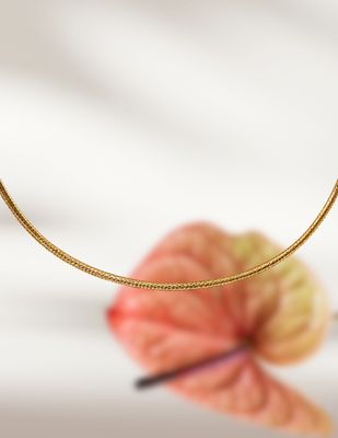 Collar Brillo