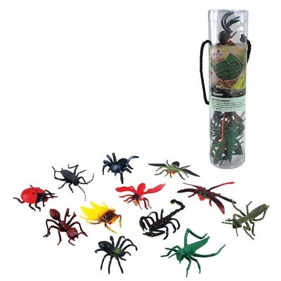 Insects