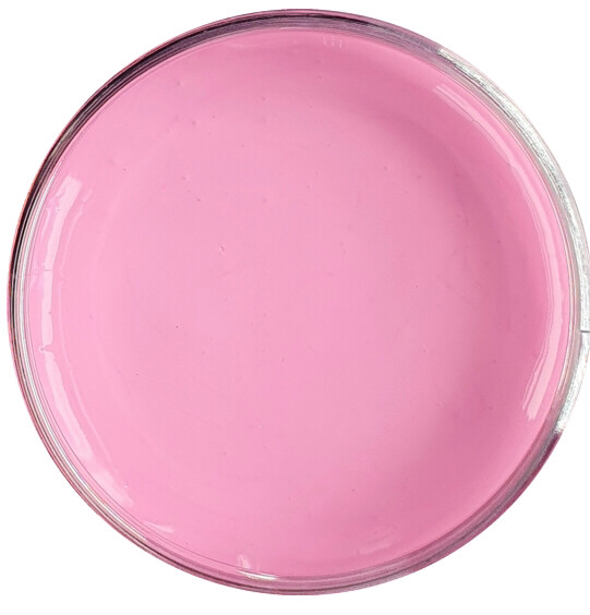 Taffy Pink Epoxy Paste 50gr (NEW)(O)